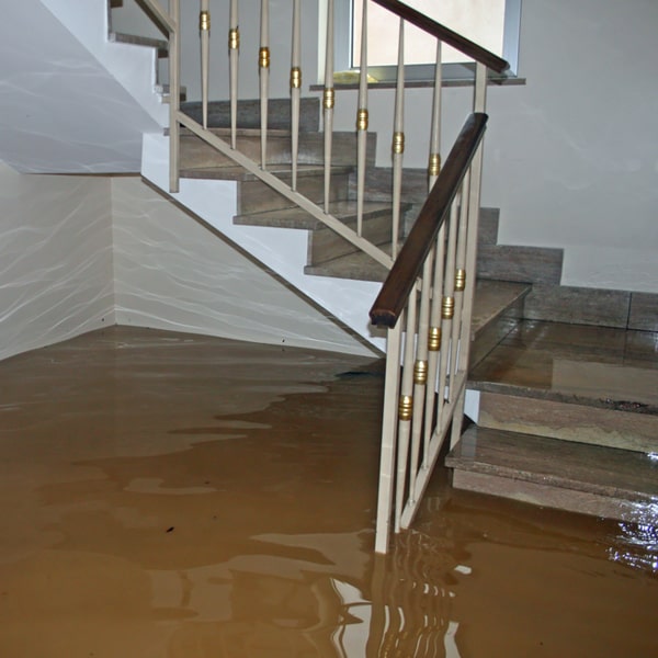 Water Damage Repair Florida